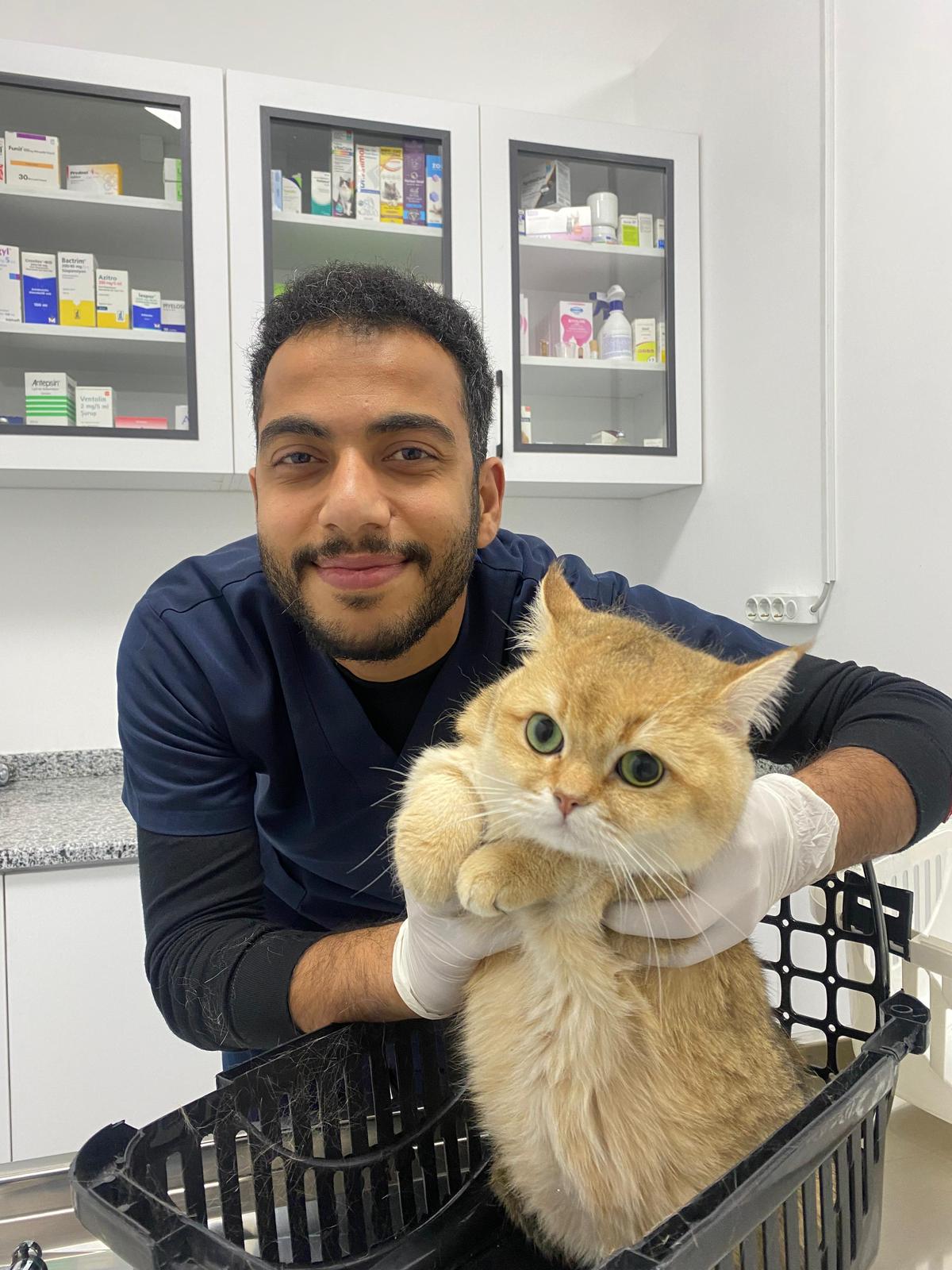 Sam-Vet Veteriner Kliniği görseli 5
